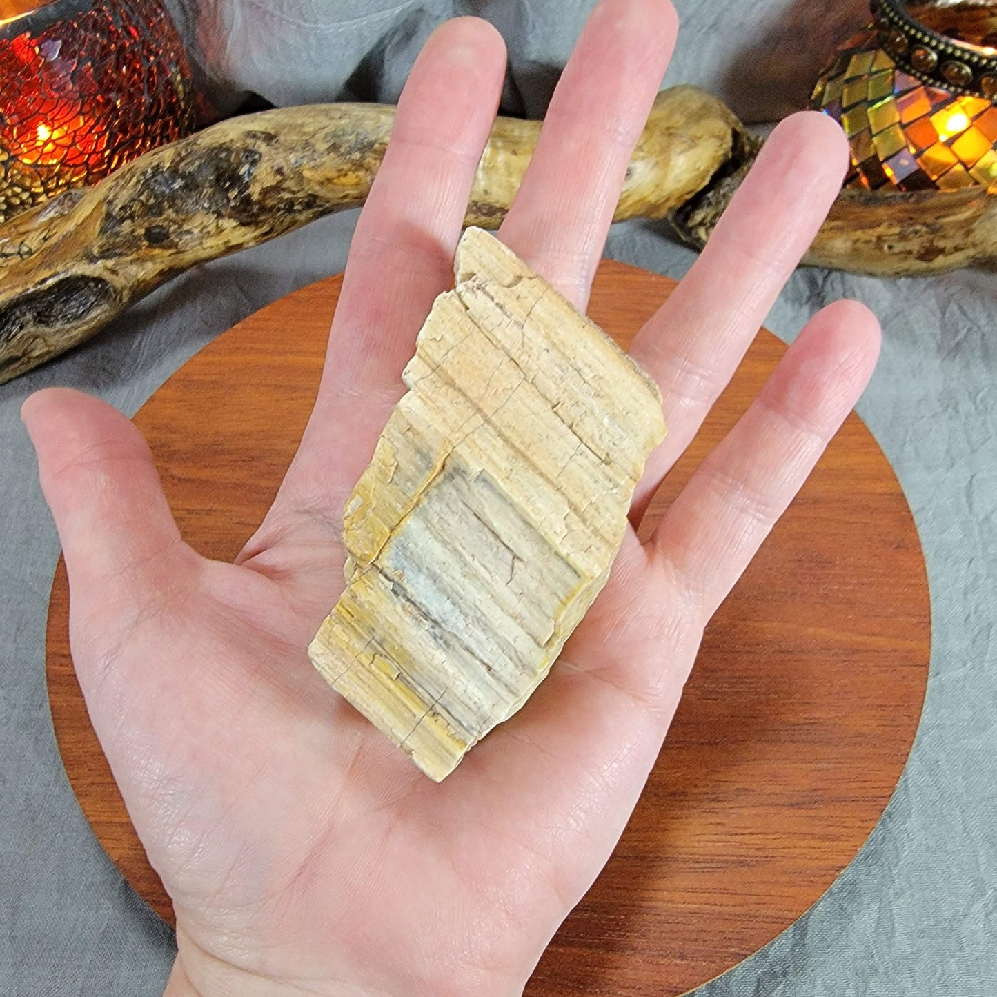 Petrified Wood with Drusy Quartz