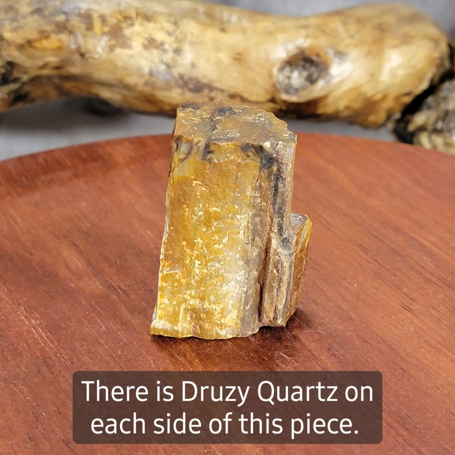 Rainbow Petrified Wood with Drusy Quartz