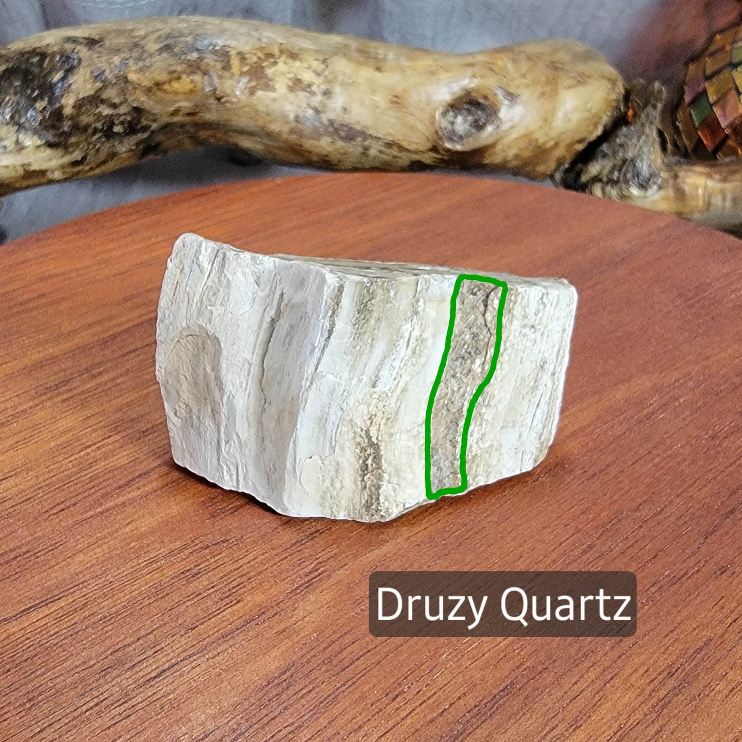 Petrified Wood with Drusy Quartz