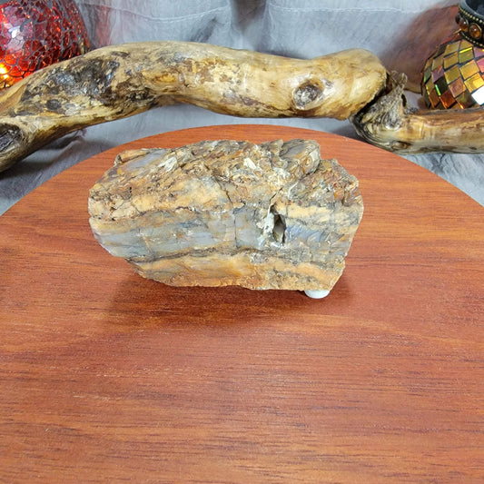 Rainbow Petrified, Agatized Wood