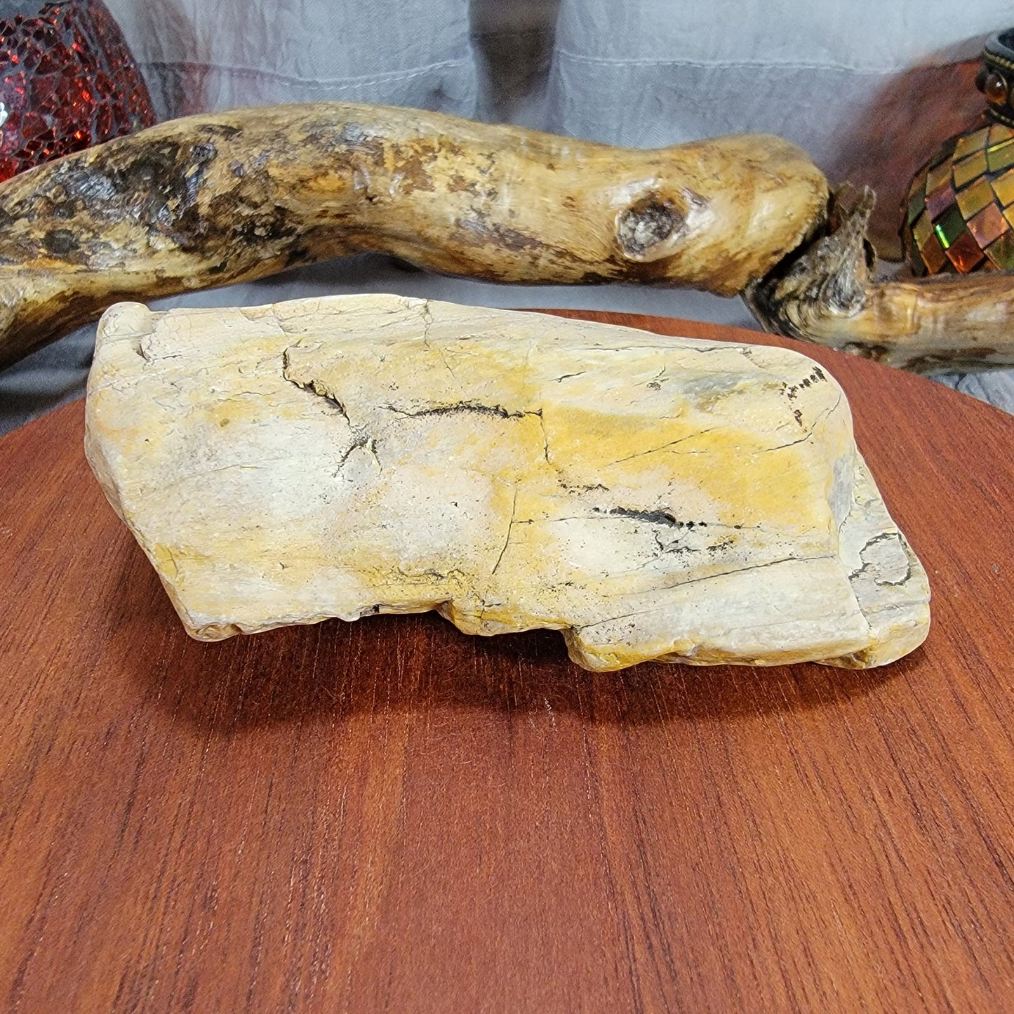 Yellow Petrified, Agatized Wood