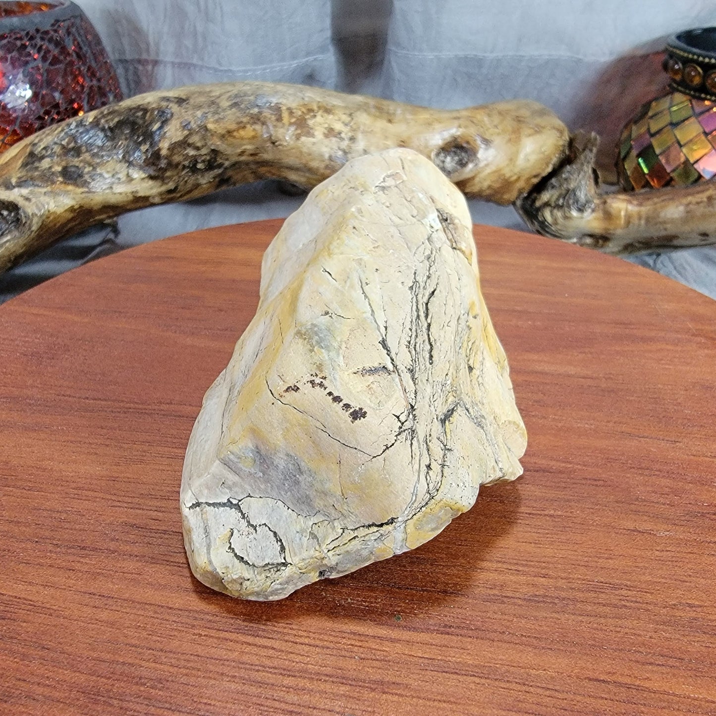 Yellow Petrified, Agatized Wood