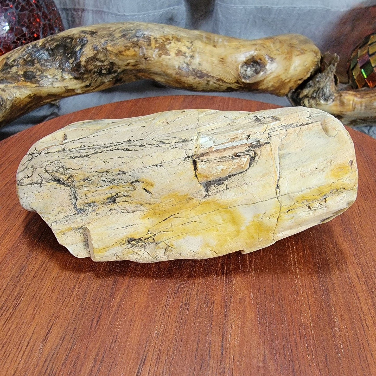 Yellow Petrified, Agatized Wood