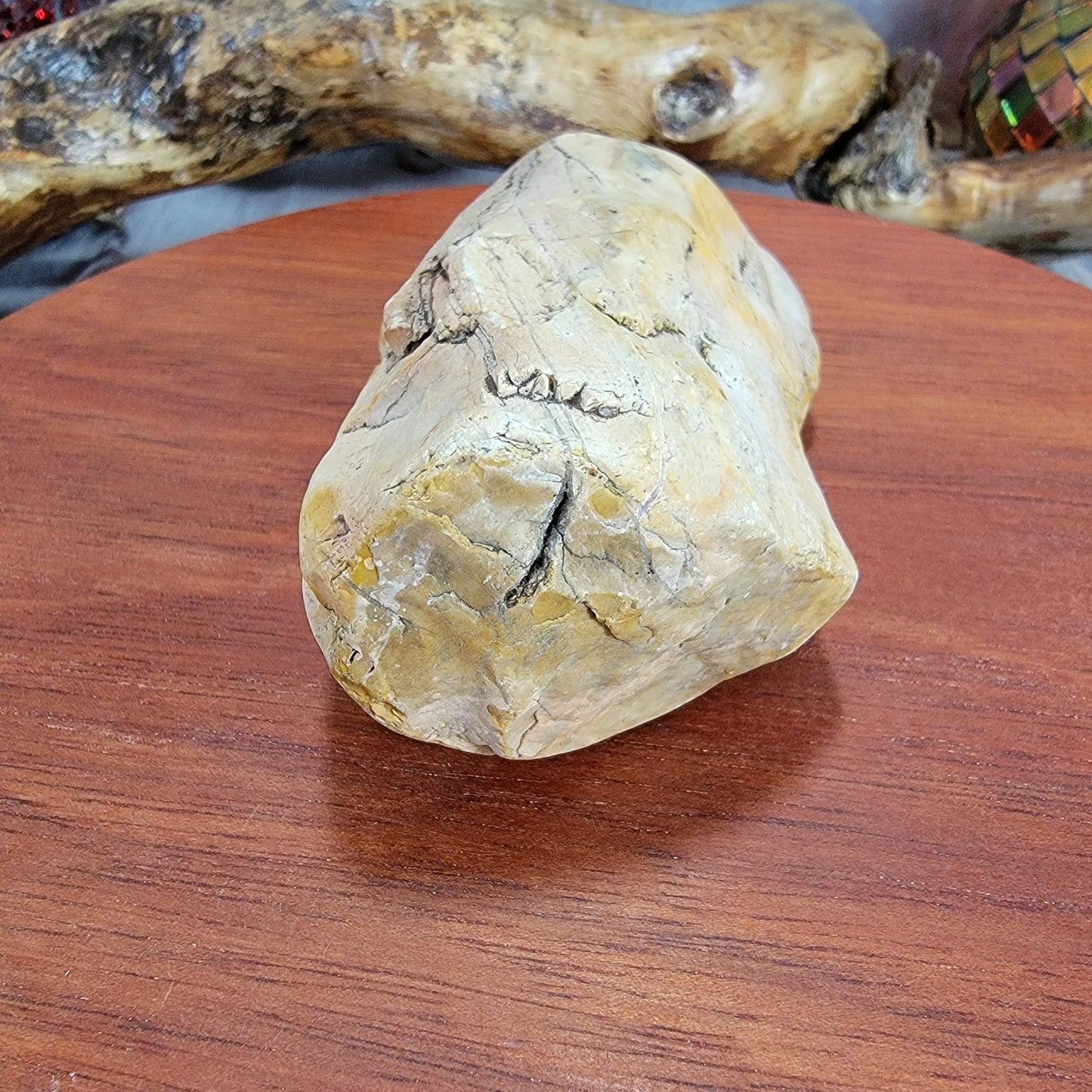 Yellow Petrified, Agatized Wood