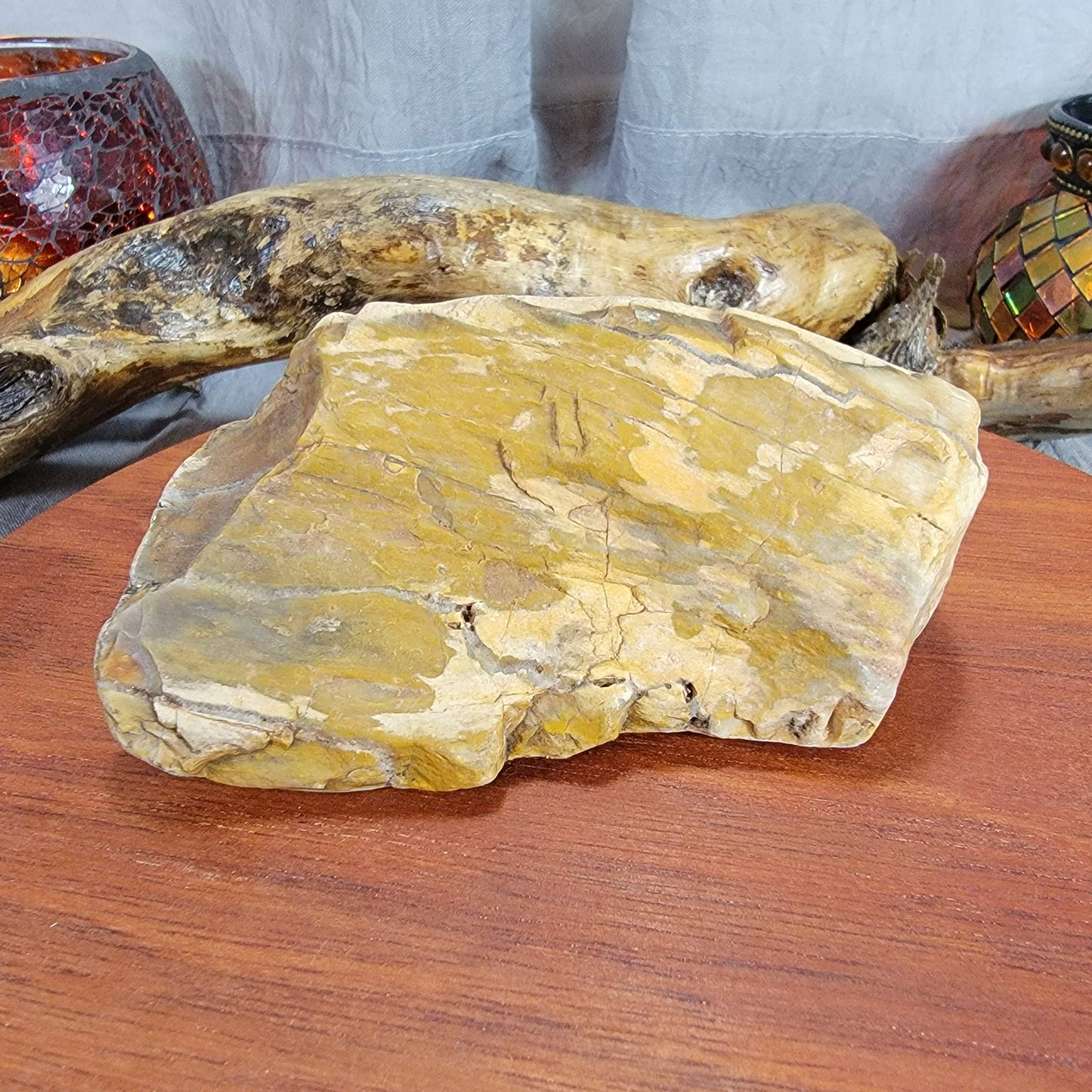 Yellow Petrified, Agatized Wood