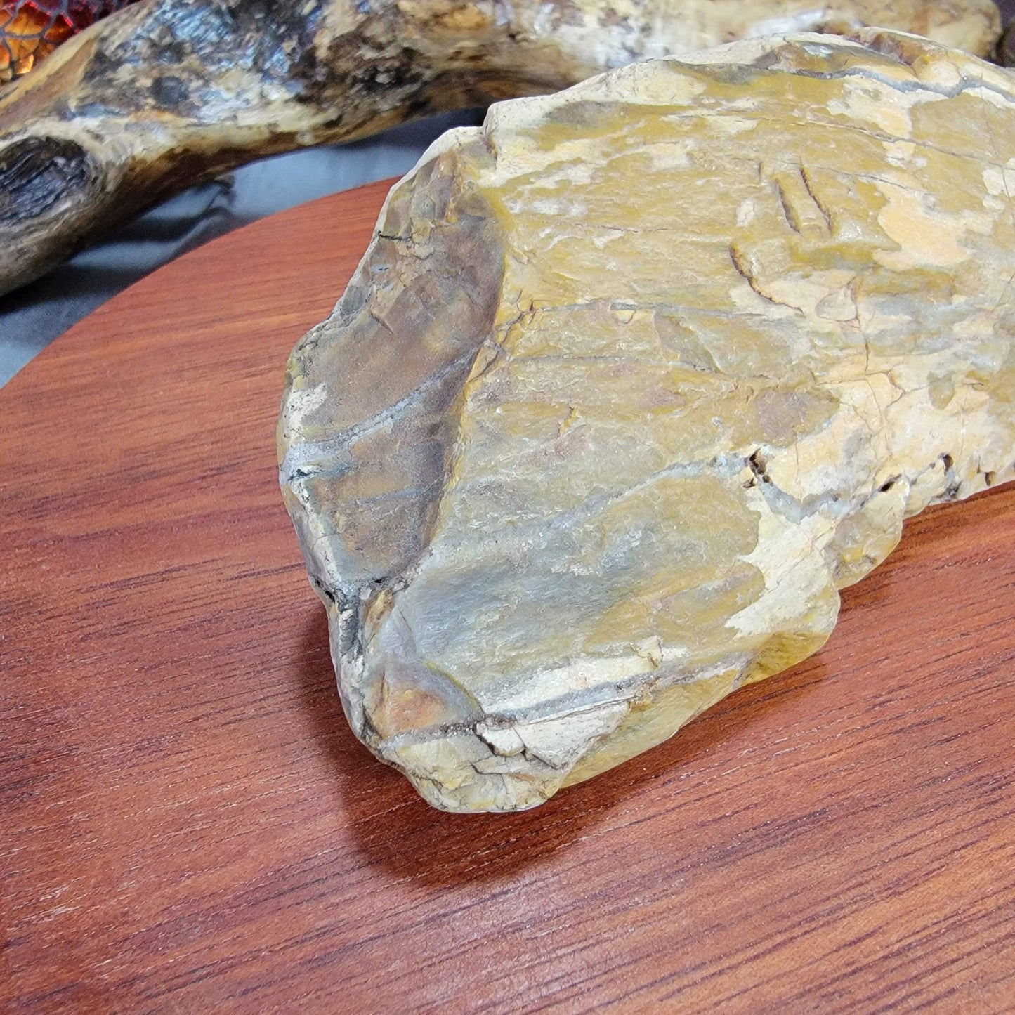 Yellow Petrified, Agatized Wood