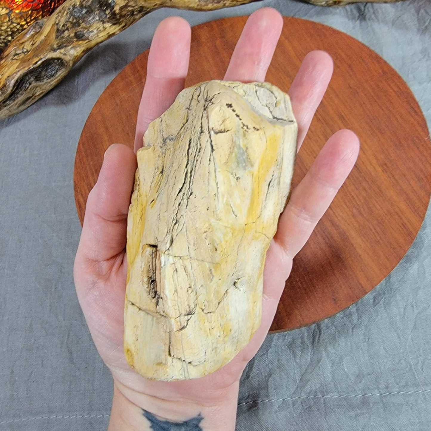 Yellow Petrified, Agatized Wood