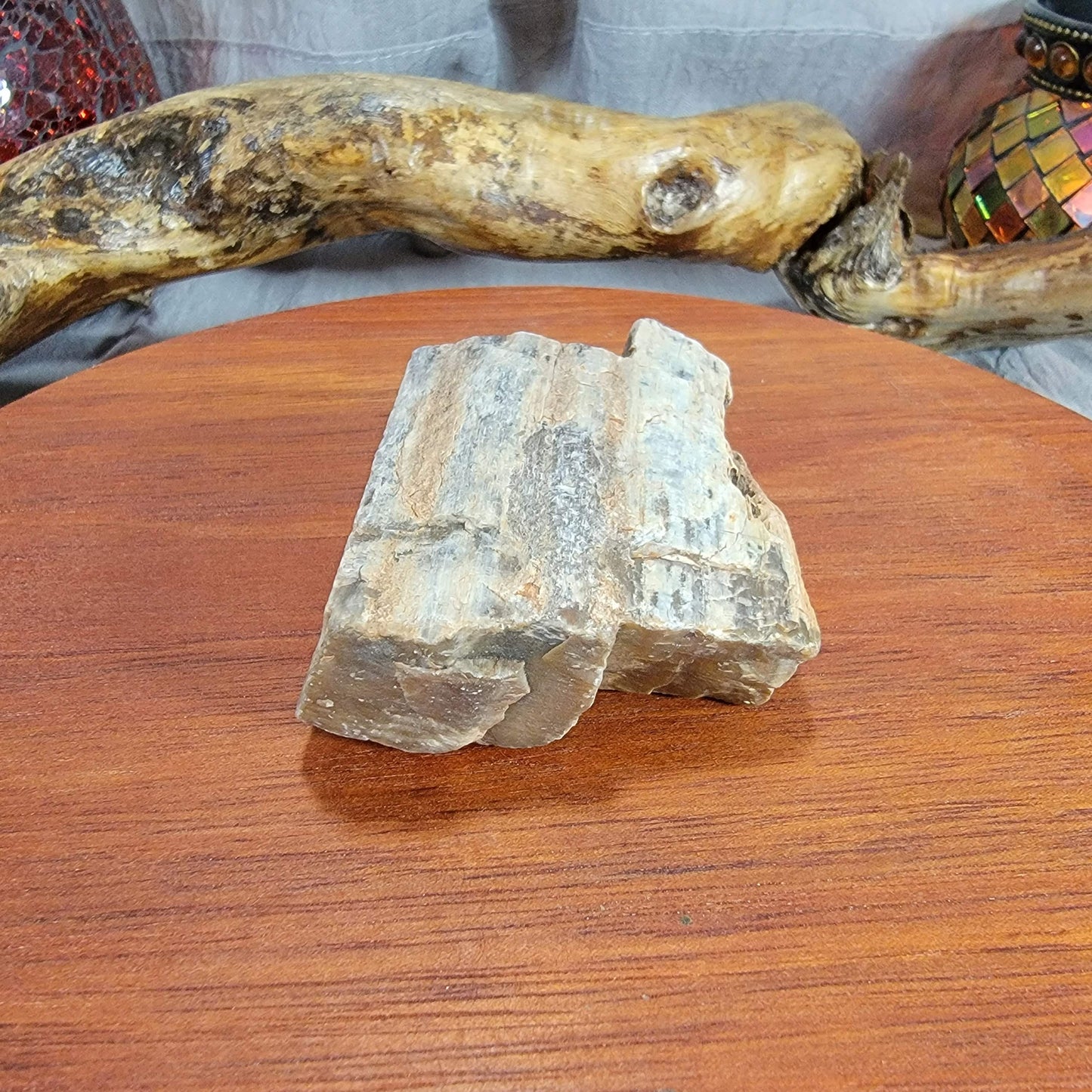 Rainbow Petrified Wood