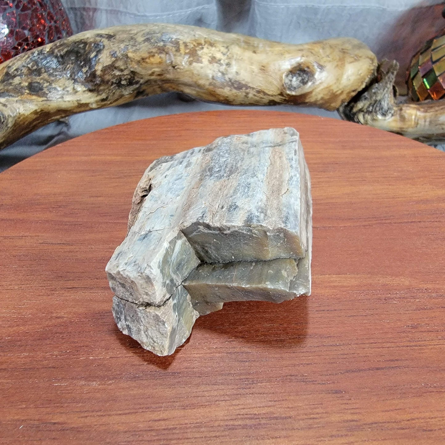 Rainbow Petrified Wood