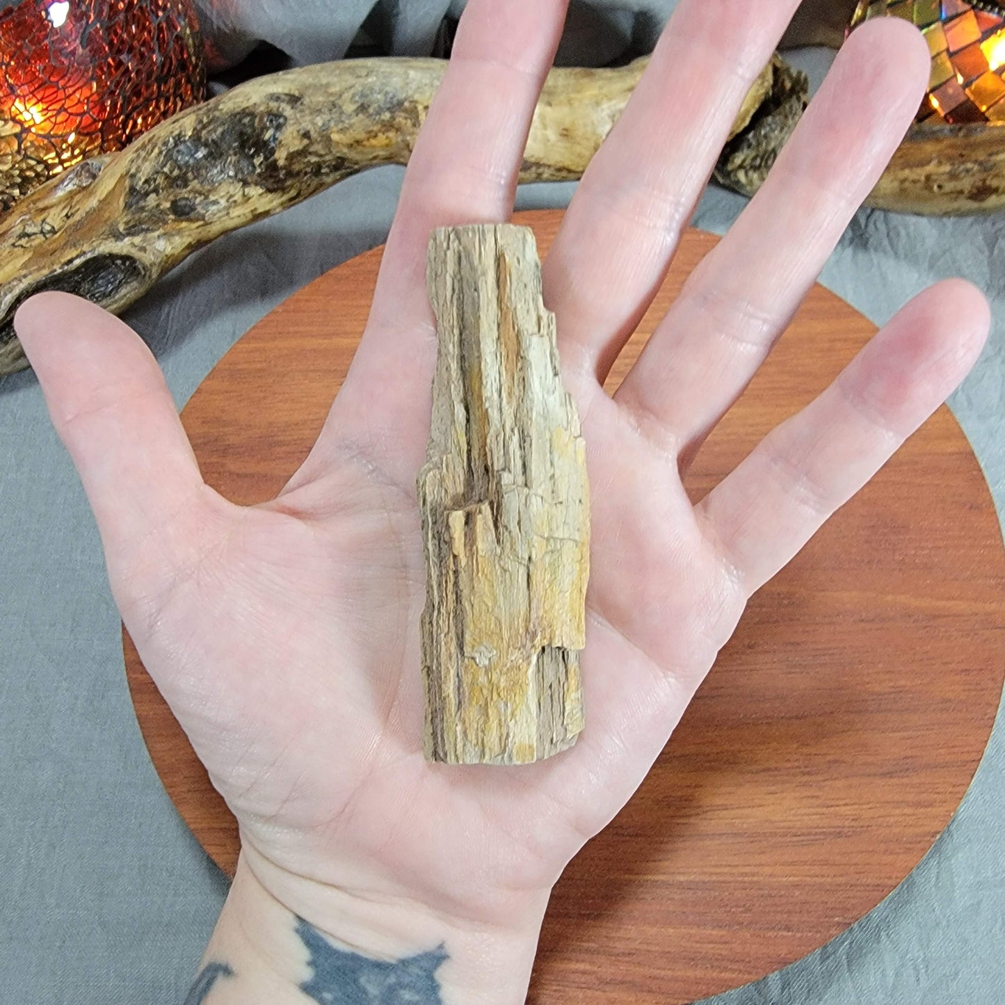 Petrified Wood